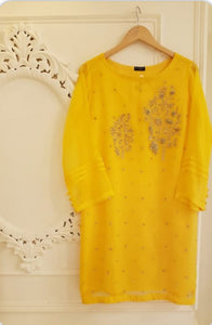 Agha Noor Kurta's